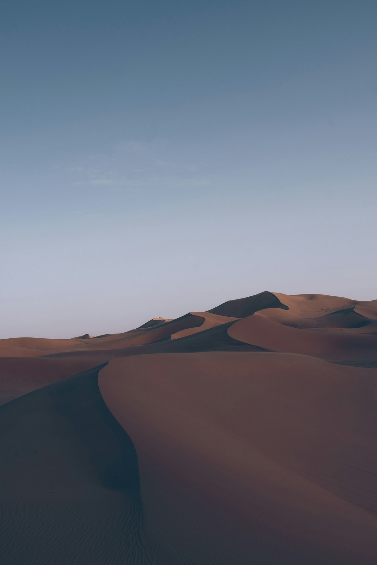 Sand dunes in the Sahara