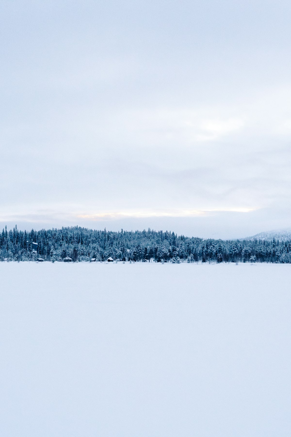 Snow-covered trees in Salla, Finnish Lapland