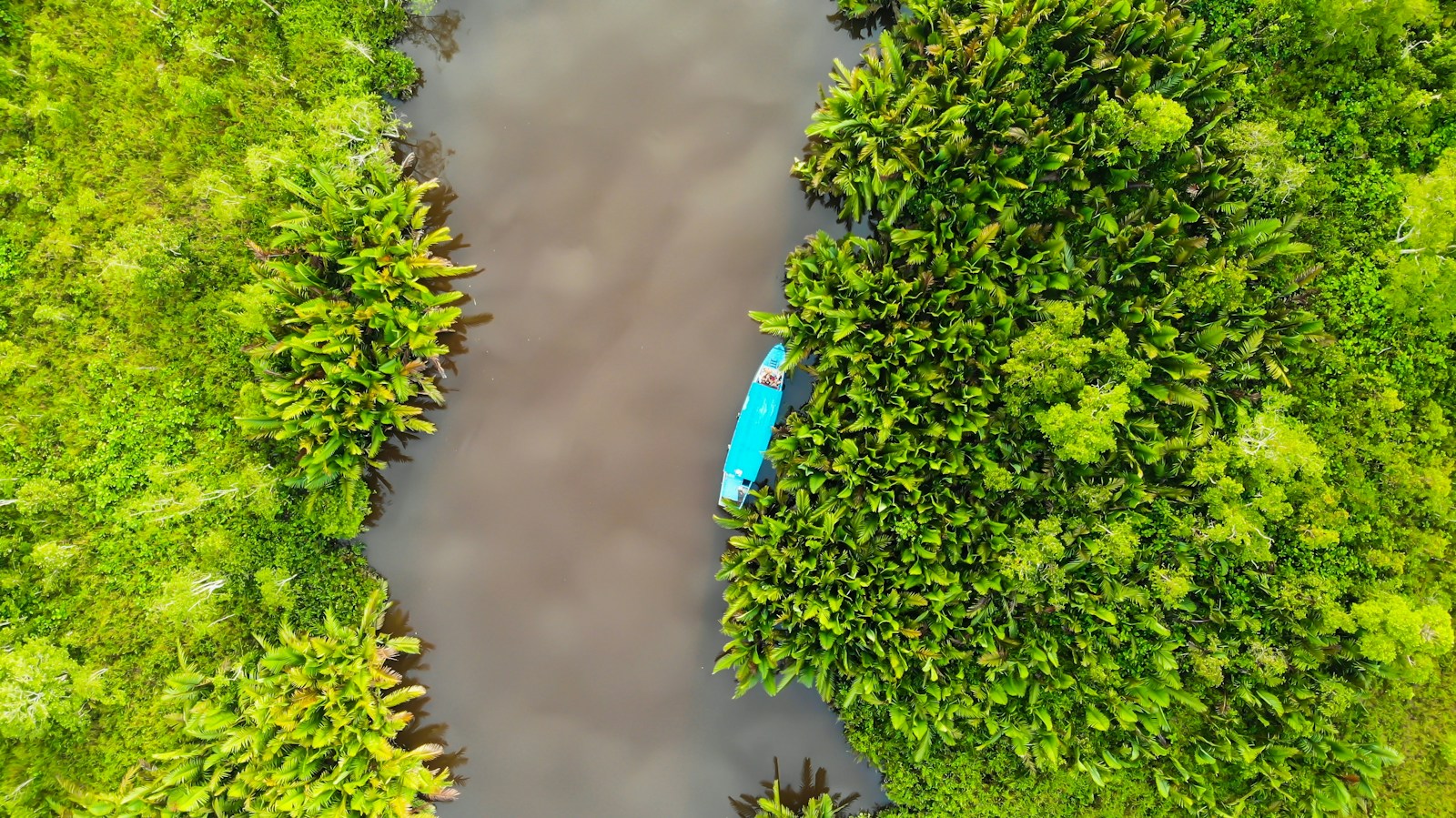 River through tropical rainforest in Indonesia